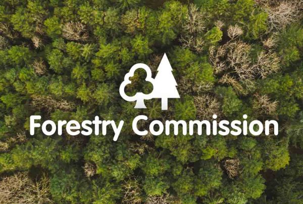 The Forestry Commission